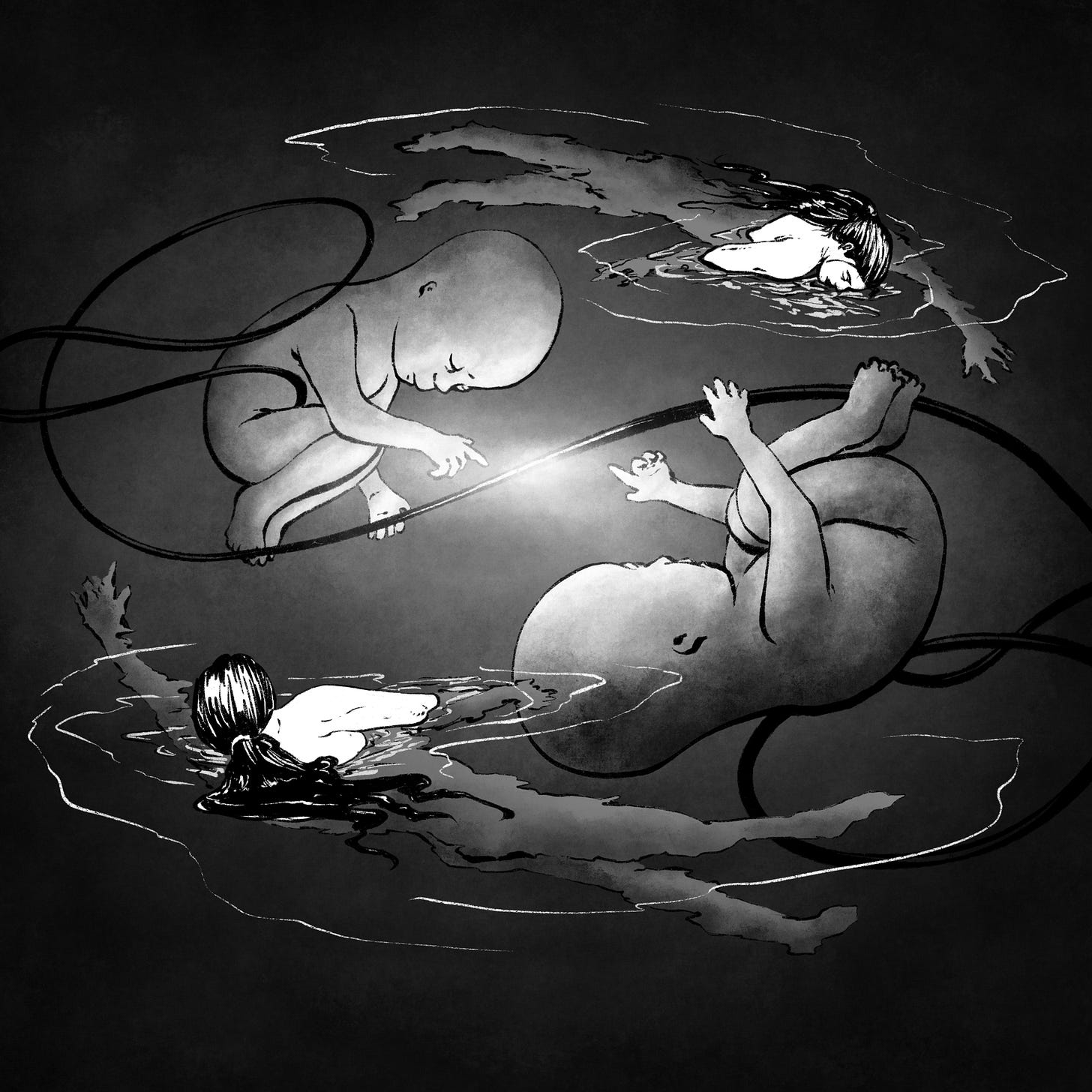 Two sisters swim together — as infants, in the womb; as adults in the swamp. Two sisters swim together — as infants, in the womb; as adults in the swamp.