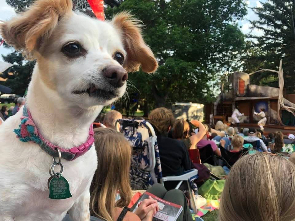 May be an image of one or more people, dog and outdoors