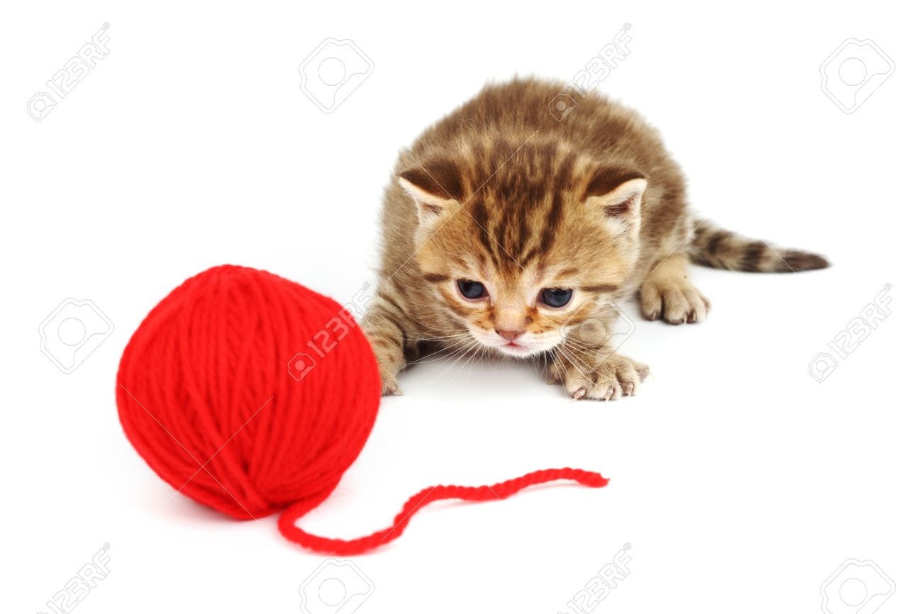 Cat And Red Wool Ball Isolated On White Stock Photo, Picture And Royalty  Free Image. Image 8415765.