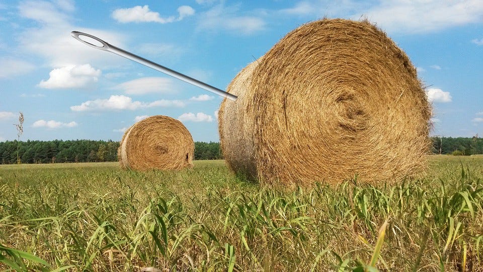 The Needle in the Haystack. An economic anaolgy | by Joss Sheldon | Medium