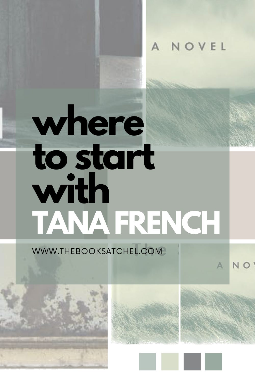 Book list : Where to start with Tana French
