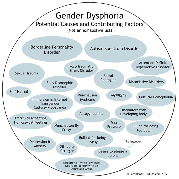 All Transgenders have (or had)&nbsp;gender dysphoria, but NOT ALL people with gender dysphoria are transgender.For the vast majority of children,&nbsp;gender dysphoria is caused by psychological issues.&nbsp; Medically transitioning these children w…