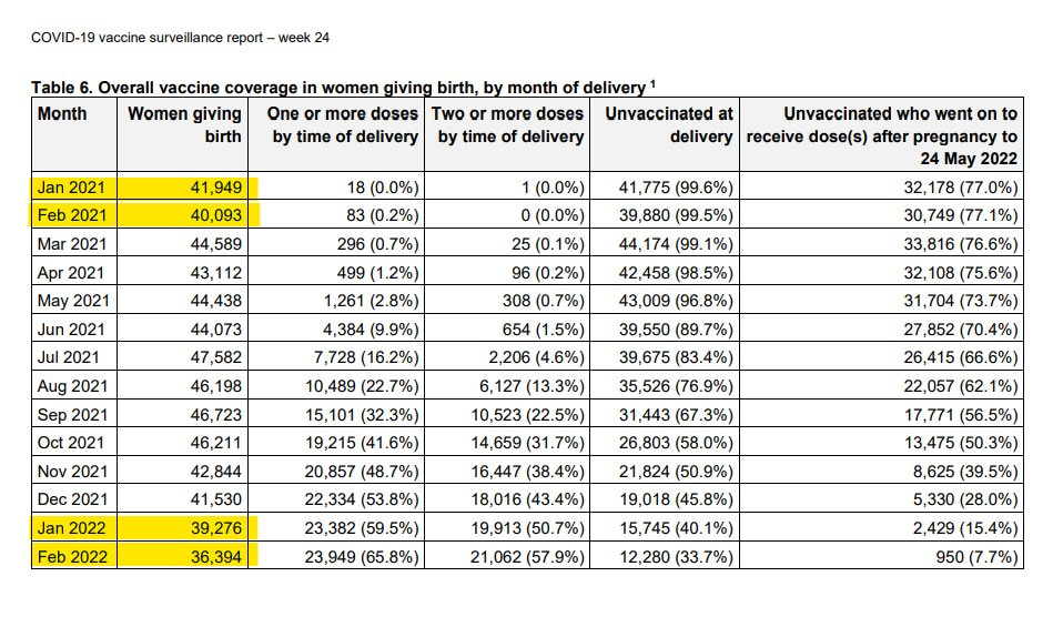 Birth Rates Drop Worldwide Following Mass COVID-19 Vaccination in 2021 Https%3A%2F%2Fbucketeer-e05bbc84-baa3-437e-9518-adb32be77984.s3.amazonaws.com%2Fpublic%2Fimages%2Fd5eac1e8-fd56-4fdf-82fd-e9a3d1a755bf_958x574