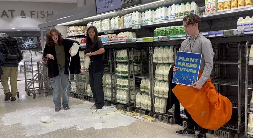 Animal Rebellion: Milk poured over shop floor in Edinburgh in climate  protest | HeraldScotland