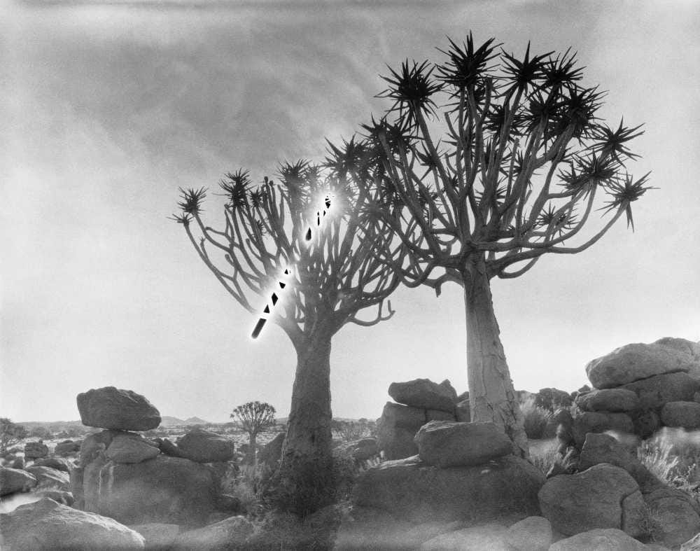 fotografia em preto e branco de um campo com árvores e um bastão negro brilhante flutuando no ar entre as árvores numa paisagem melancólica