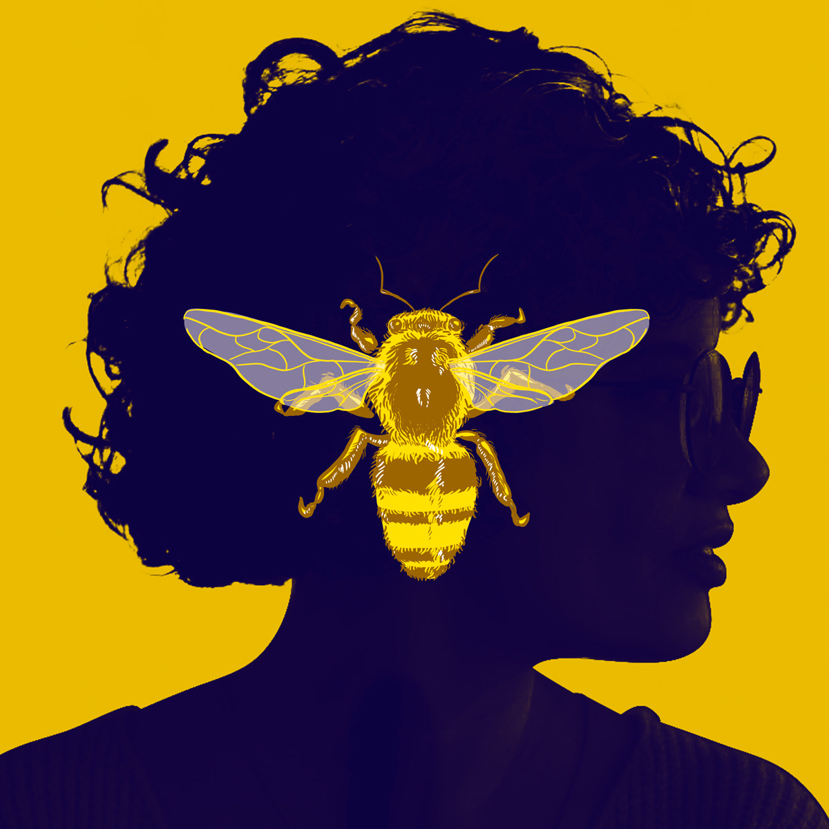 Capa do meu podcast: a ilustração da abelha de Bobagns Imperdíveis em tom dourado, sobre a silhueta do meu rosto de perfil, com óculos e cabelos cacheados, envoltas em sombras azuladas, sobre um fundo amarelo dourado
