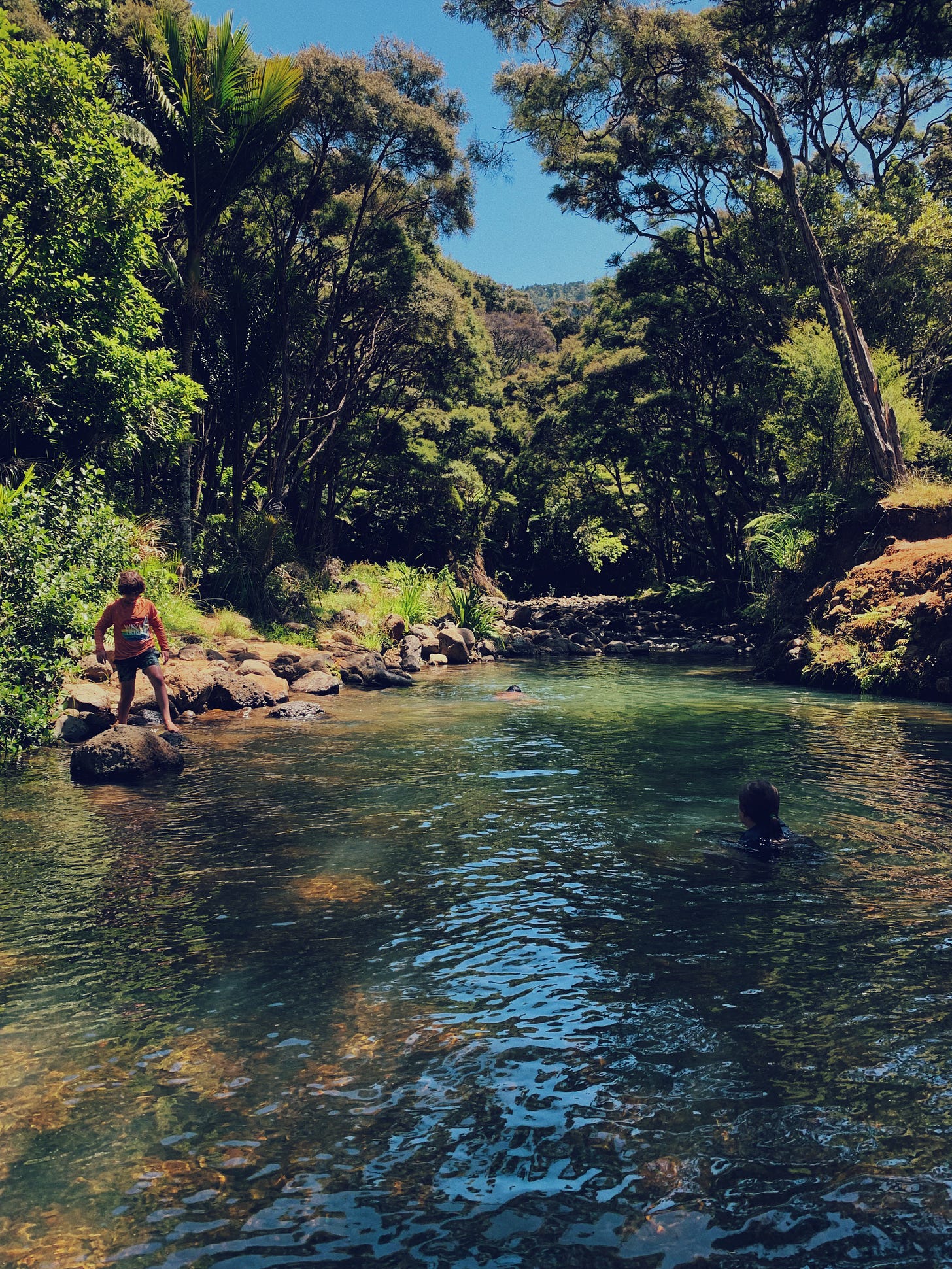 A sunlit blue-green river where children are swimming. The bush surrounds the river and blue sky is cloudless.