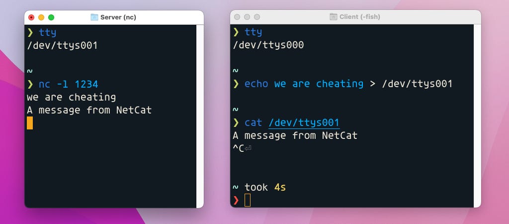 Using NetCat to demonstrate TTY communication