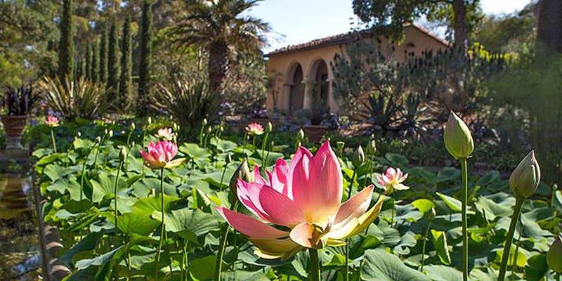 Lotusland Gardens – Montecito, CA – WineCountry.com