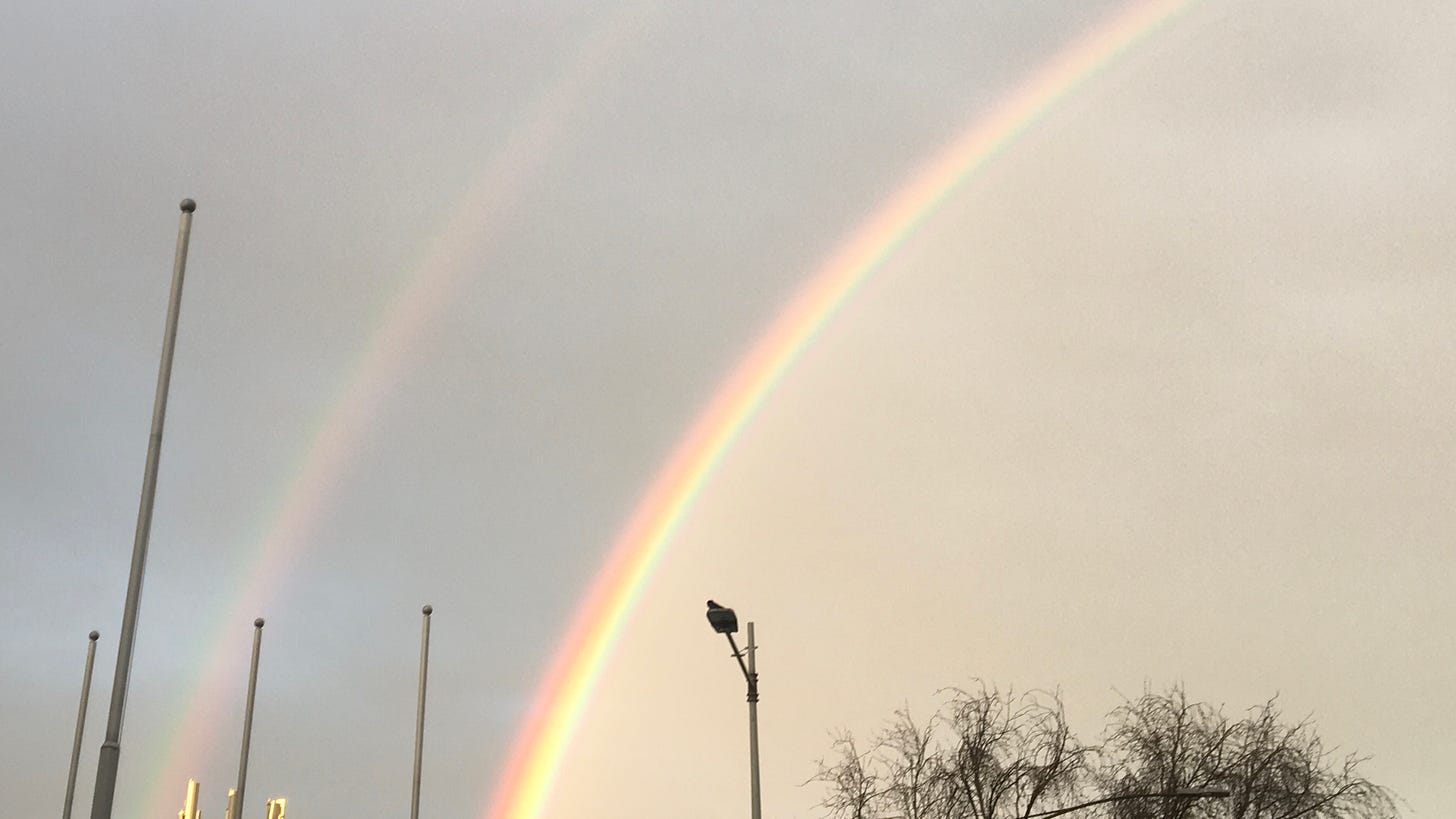 a double rainbow, one strong and the other fainter, set against a grey sky. parts of a tree, building, and streetlight are also visible.