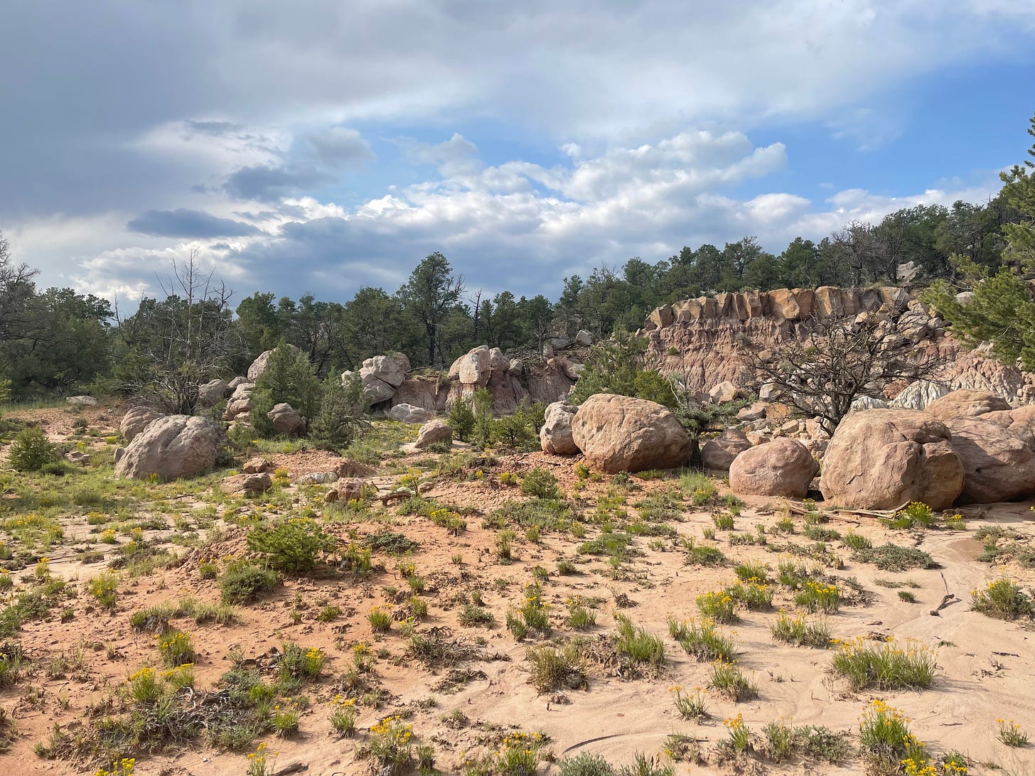 A partly cloudy sky over piles of striated rocks and pine trees interspersed.