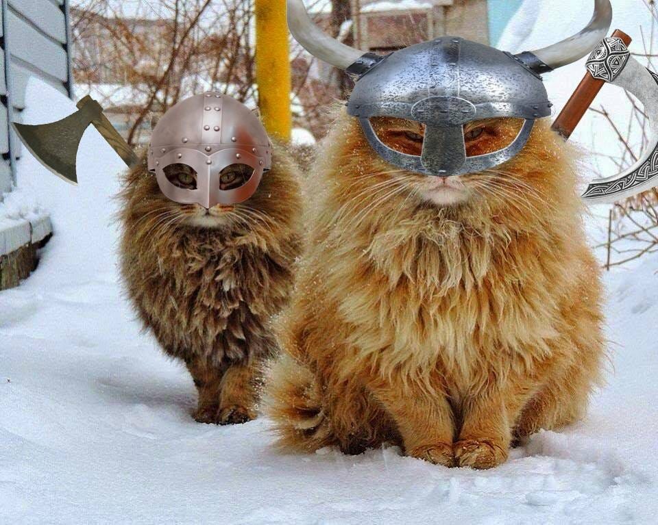 A manipulated photo of two fluffy orange cats outside to give them viking helmets and axes