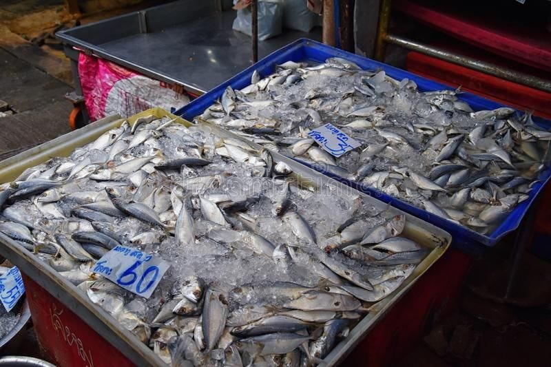 Maeklong Railway Street Fish Market By Bangkok Thailand. Street Marine Market Where Train Passes ...