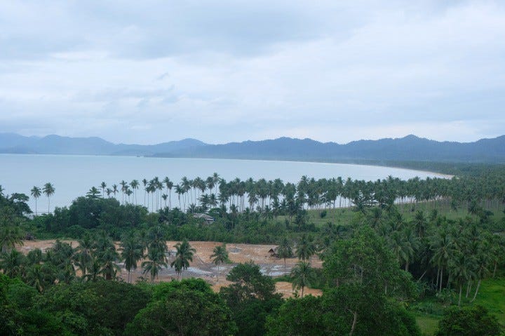 A crescent-shaped beach with coconut trees and a cloudy sky