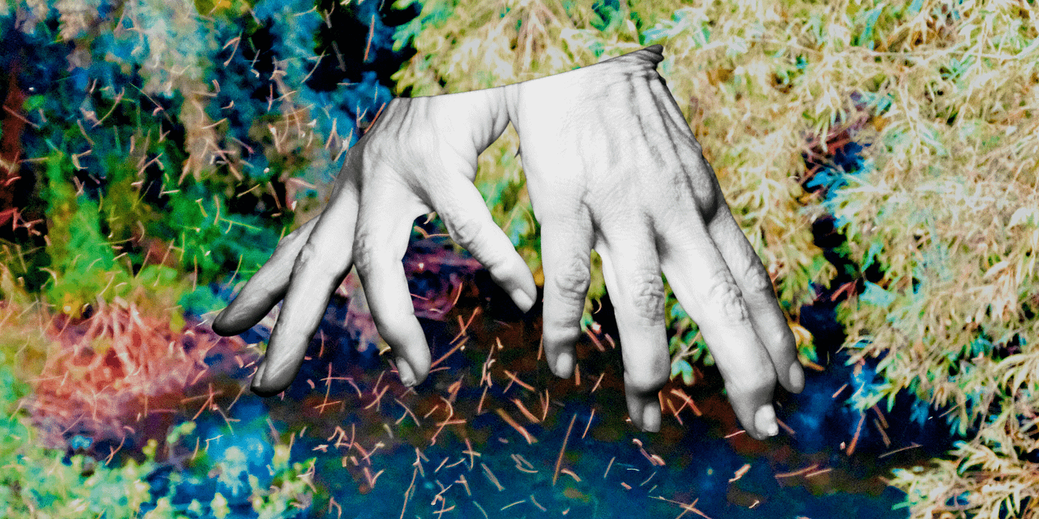 A collage of two floating, dancing, black and white hands over a psychedelic-looking colour image of plants and foliage. 