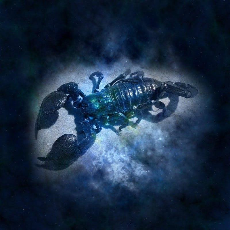 Tough Love Astrology — Scorpio Tough Love Astrology — Scorpio