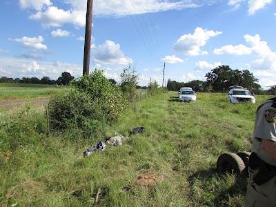 Picture of outdoor crime scene where Madisonville Jane Doe was found.