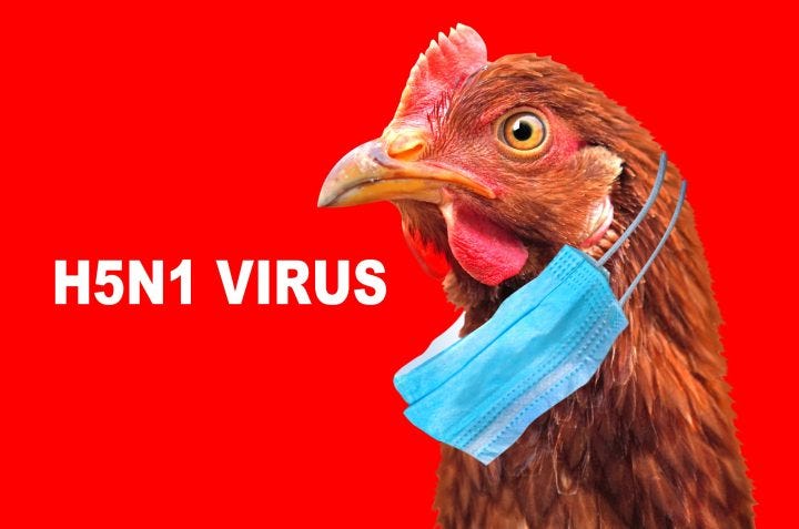 NOCA Demanding Evidence That Bird Flu Has Been Proven To Exist