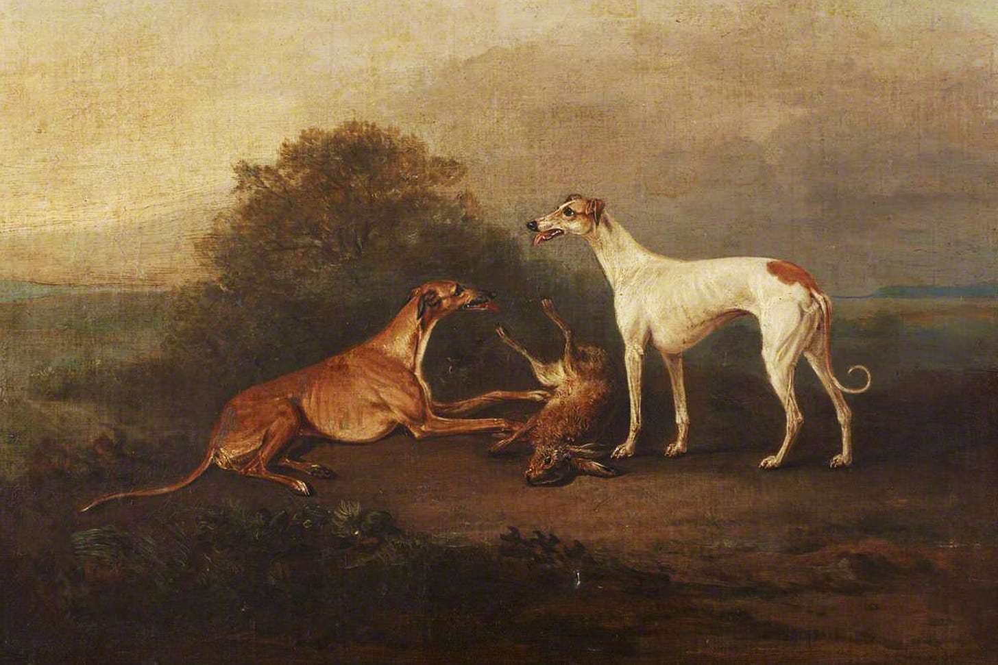 19th century painting of two coursing dogs with a dead hare