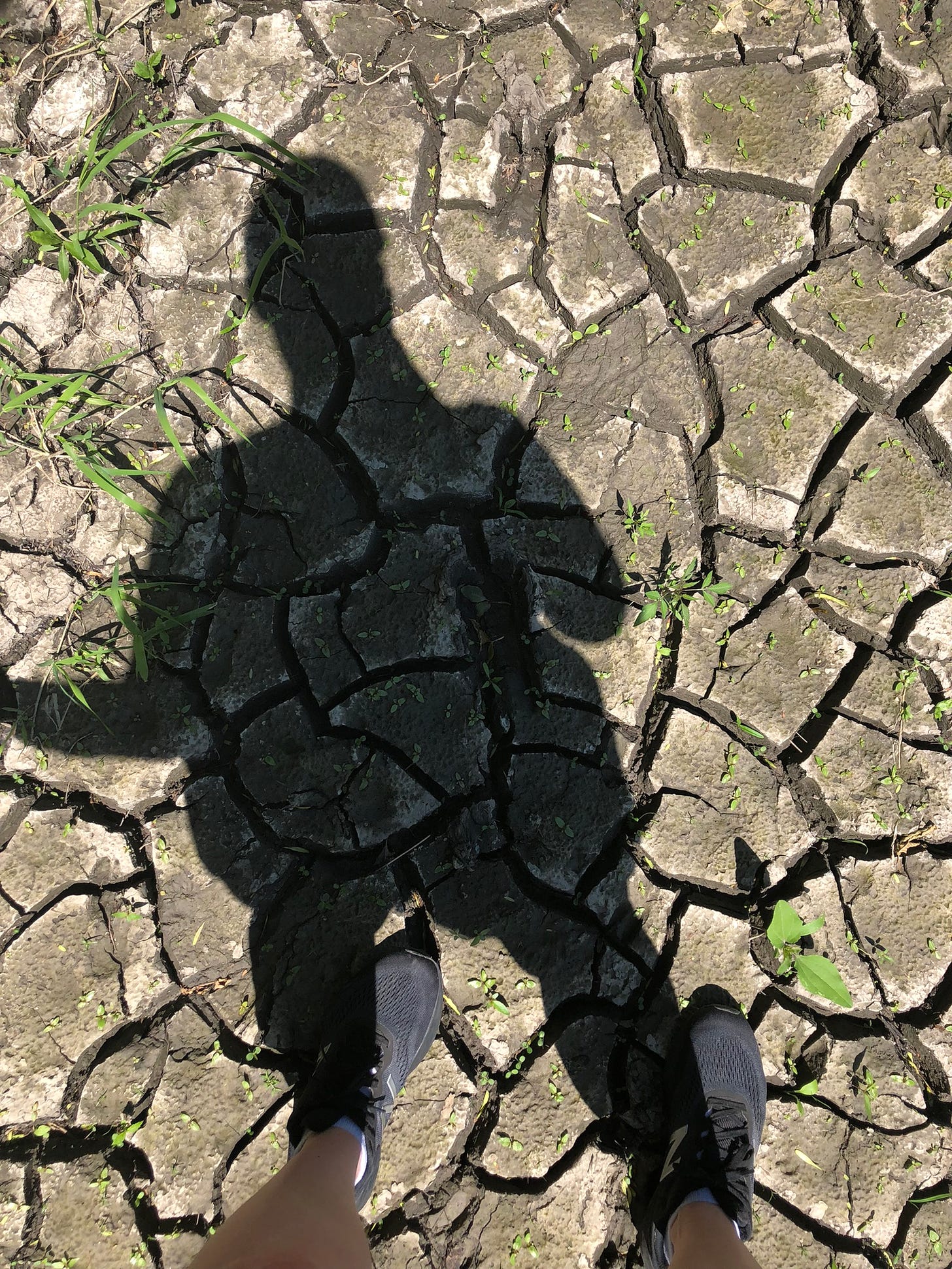 the shadow of a person on cracked earth