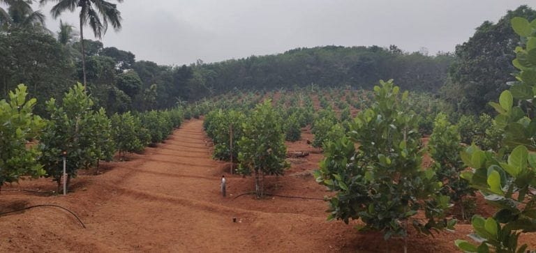 kerala farmer 