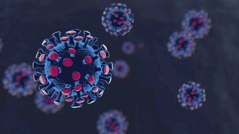Decoded | Delta Plus variant, India&#39;s new worry - Coronavirus Outbreak News