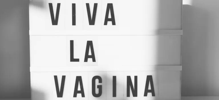 A sign that says VIVA LA VAGINA