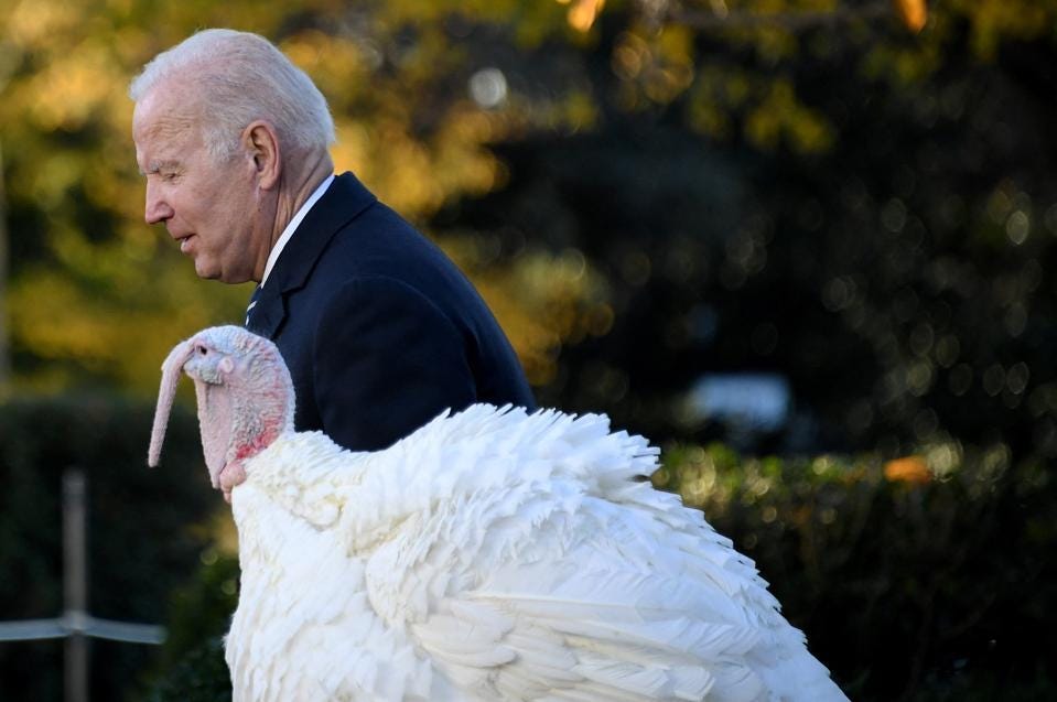 This Thanksgiving, Big Government Is The Turkey