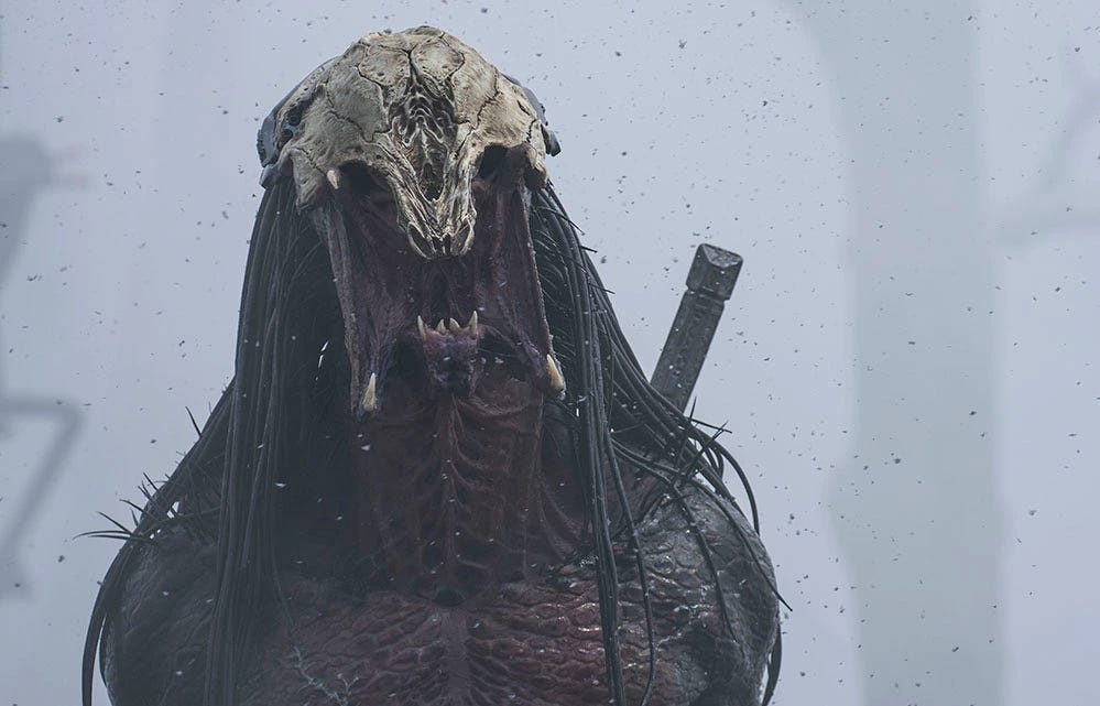 Prey': Meet Dane DiLiegro, the Latest Actor to Play the Iconic Predator  [Interview] - Bloody Disgusting