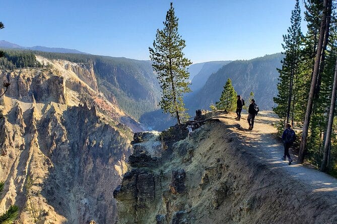 Grand Canyon of the Yellowstone Rim and Loop Hike with Lunch 2021 -  Yellowstone National Park