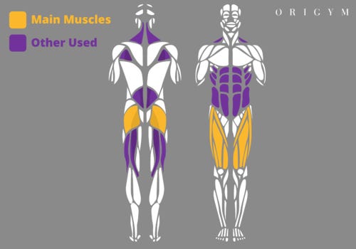 landmine squat muscles worked image 