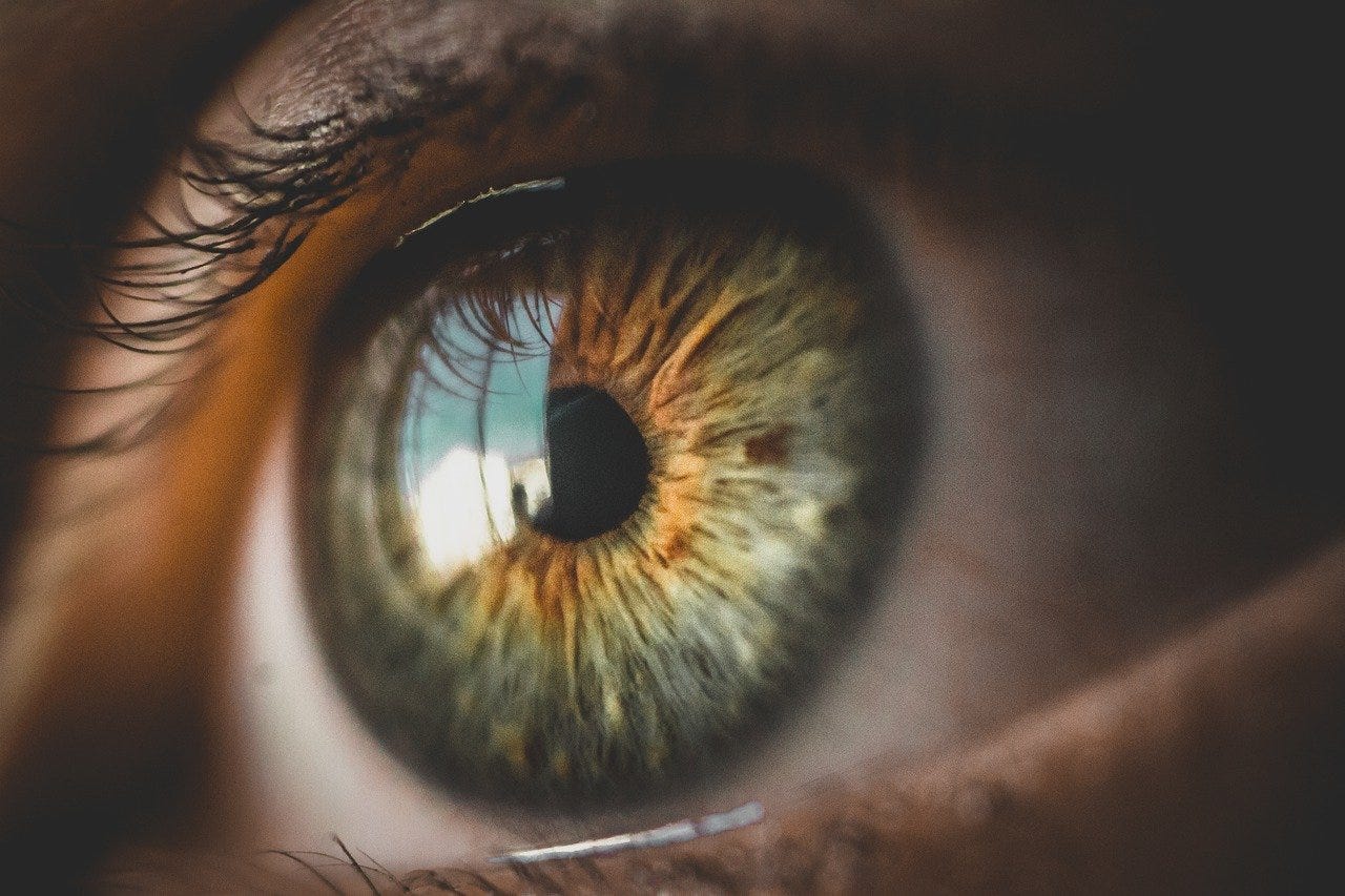 Eyes Look Face - Free photo on Pixabay