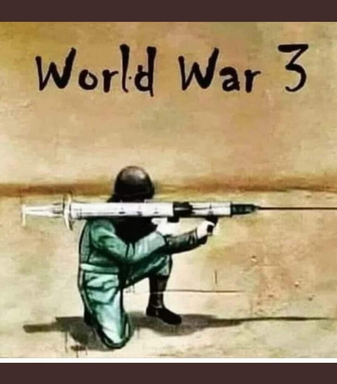 May be an image of text that says 'World War 3'