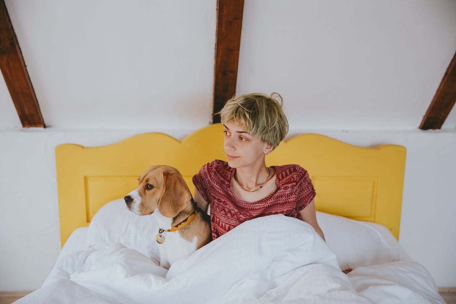 A person lays in bed with their dog.