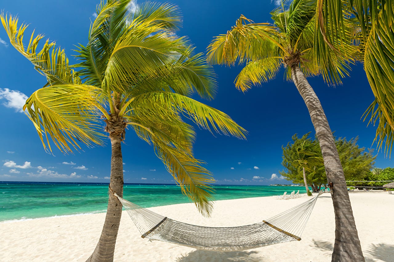 Papeis de parede Trópico Costa Grand Cayman Palmeira Rede de descanso Praia  Naturaleza baixar imagens