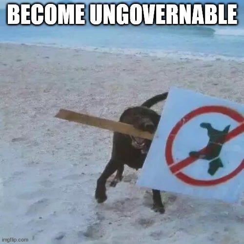 Become ungovernable - Imgflip