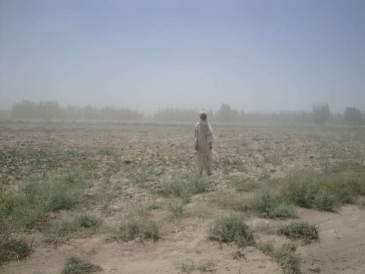 A person walking in a field

Description automatically generated with medium confidence
