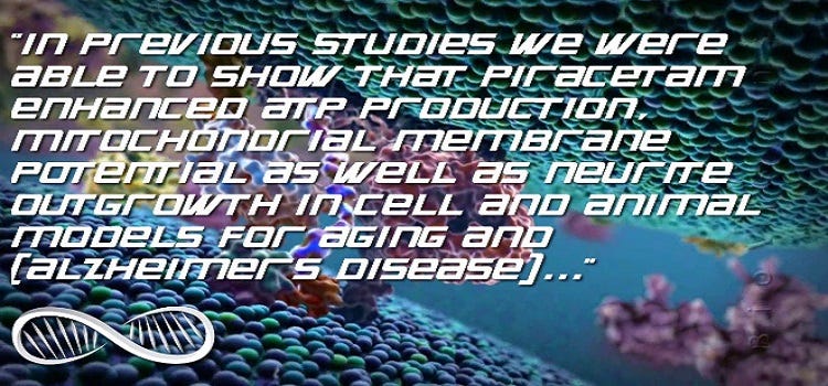 Mitochondrial Function