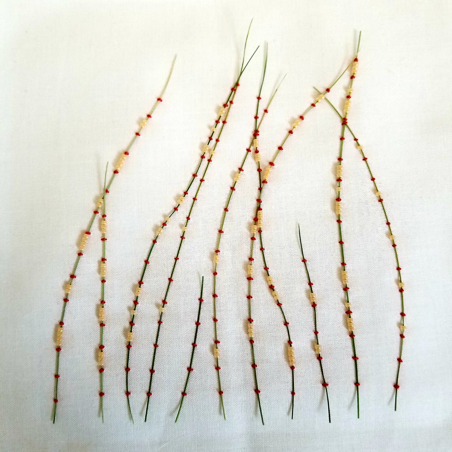 dried grass couched to muslin fabric with pink thread and peach glass beads