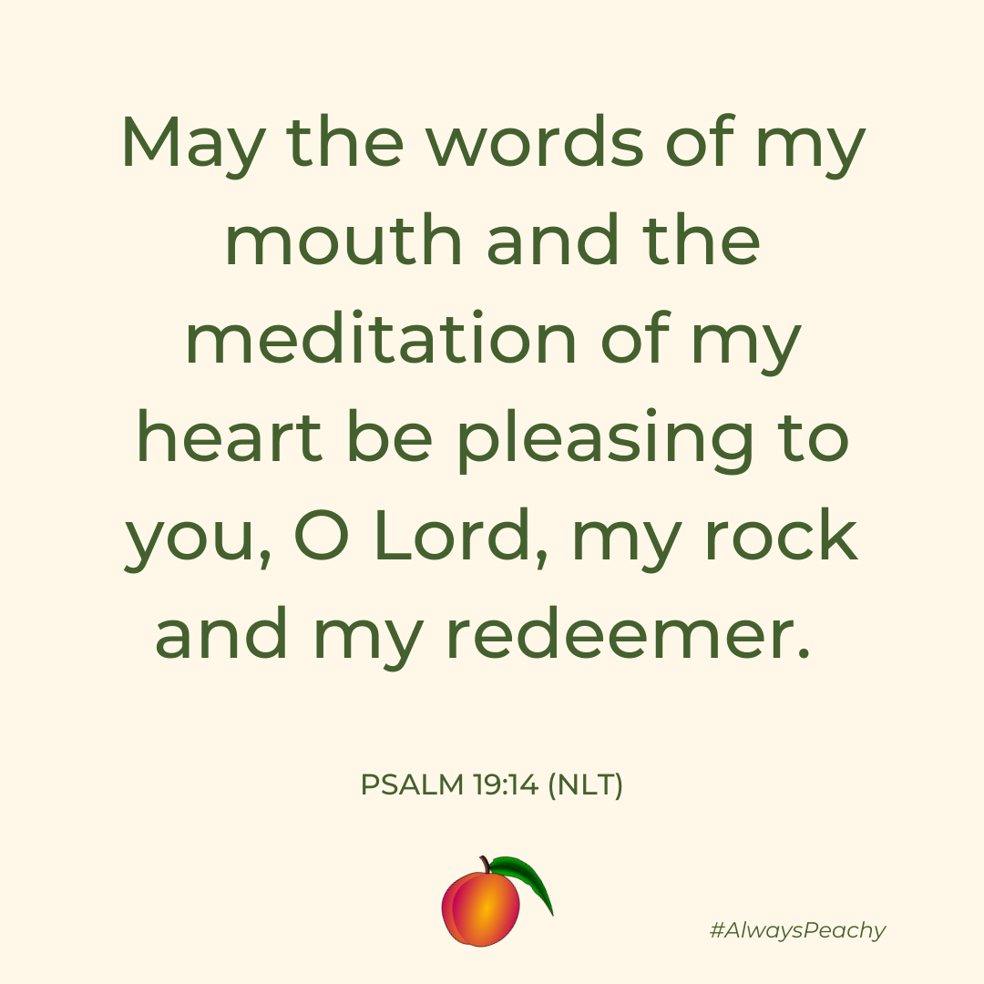 Psalm 19:14.  May the words of my mouth and the meditation of my heart be pleasing to you, O Lord, my rock and my redeemer.