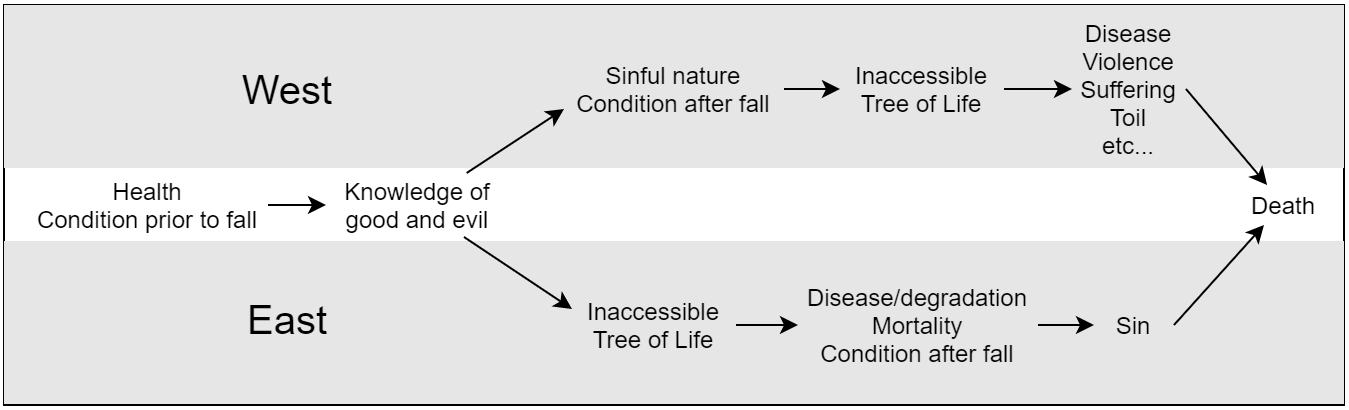 Figure 1 depicts the Eastern and the Western approaches to the causality of sin and mortality. Both start with a condition of health prior to the fall, after which the knowledge of good and evil is acquired by humanity. At this point, the two branches diverge. The West points to the sinful human nature after the fall, which is why human beings are denied access to the Tree of Life, which causes disease, violence, suffering, toil, etc. The Eastern branch points out a different causality, which is that the knowledge of good and evil caused Adam and Eve to be cast out of paradise, which denies them access to the Tree of Life. This causes disease, degredation, and mortality, which is the human condition after the fall. This condition causes men to sin. At this point, the branches come together again, pointing at death as the ultimate result of sin and/or disease.
