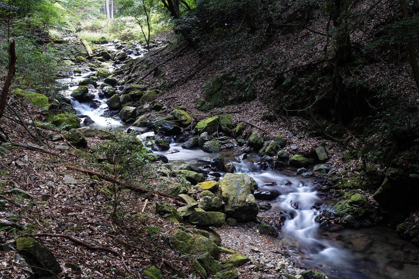 Takao and the Kiyotaki River