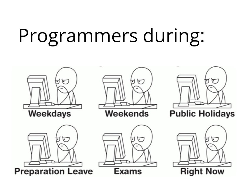 r/ProgrammerHumor - True Story