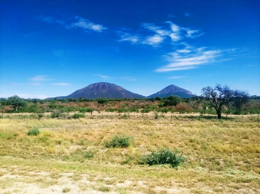 The Namibian countryside near the capital of Windhoek. The grasses are parched and yello, the shrubs and scattered trees are still green. In the distance, two mountains rise into an intense blue sky.