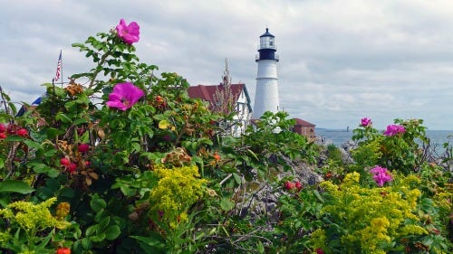 The Lighthouses Welcome Spring - Pathways of the Heart