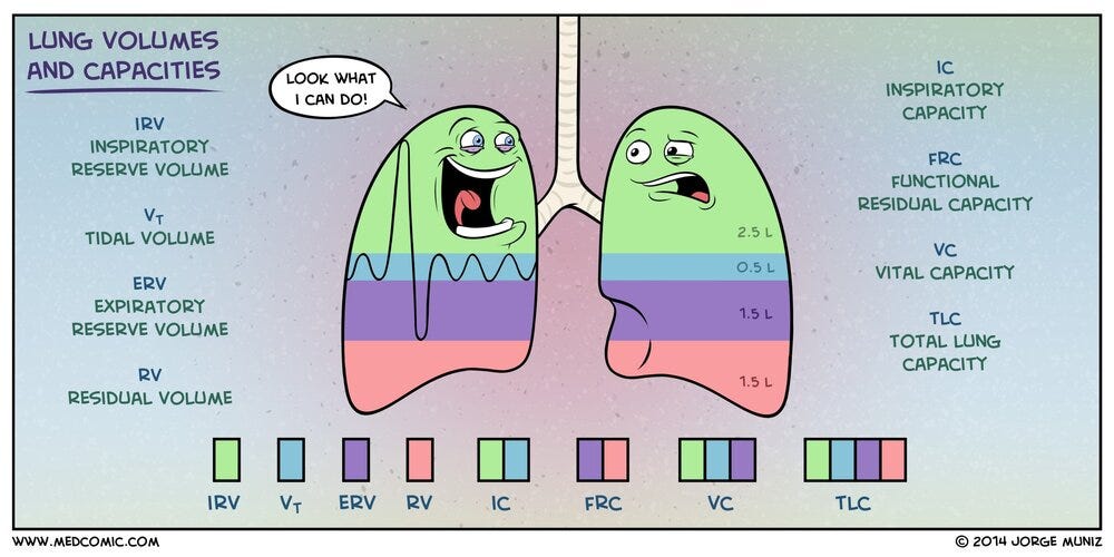 Lung Volumes and Capacities | Medcomic