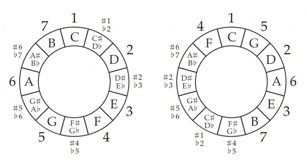 The chromatic circle and the circle of fifths