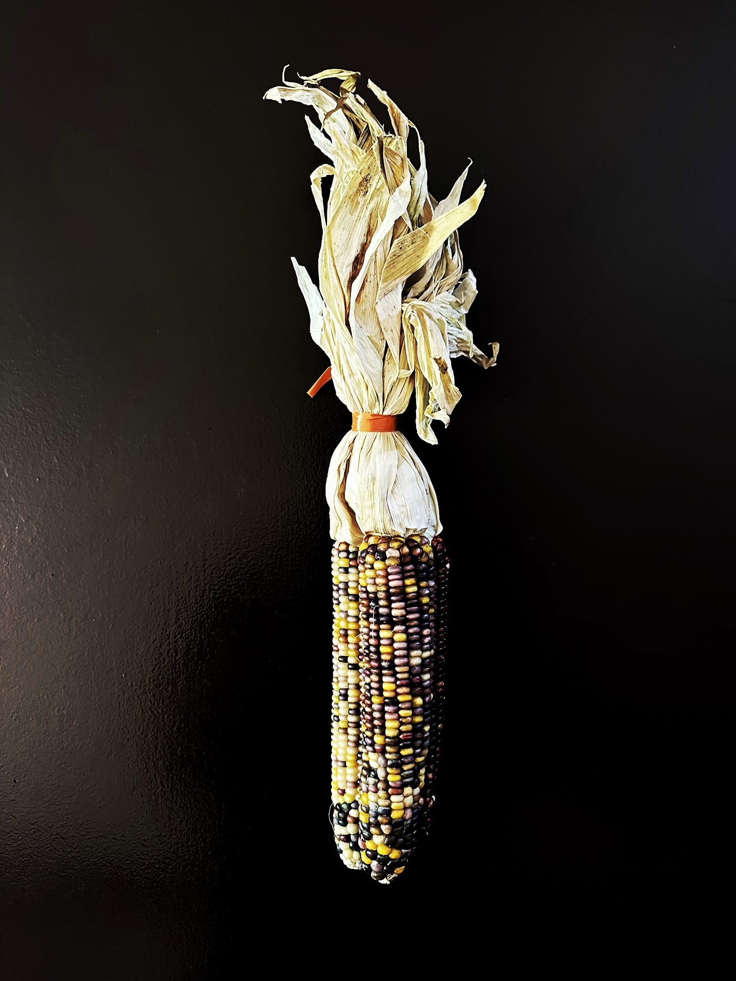 Ornamental Corn