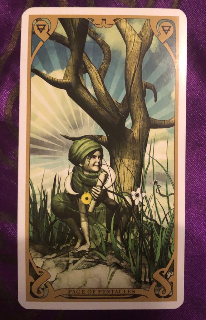 Page of Pentacles from the Night Sun Tarot