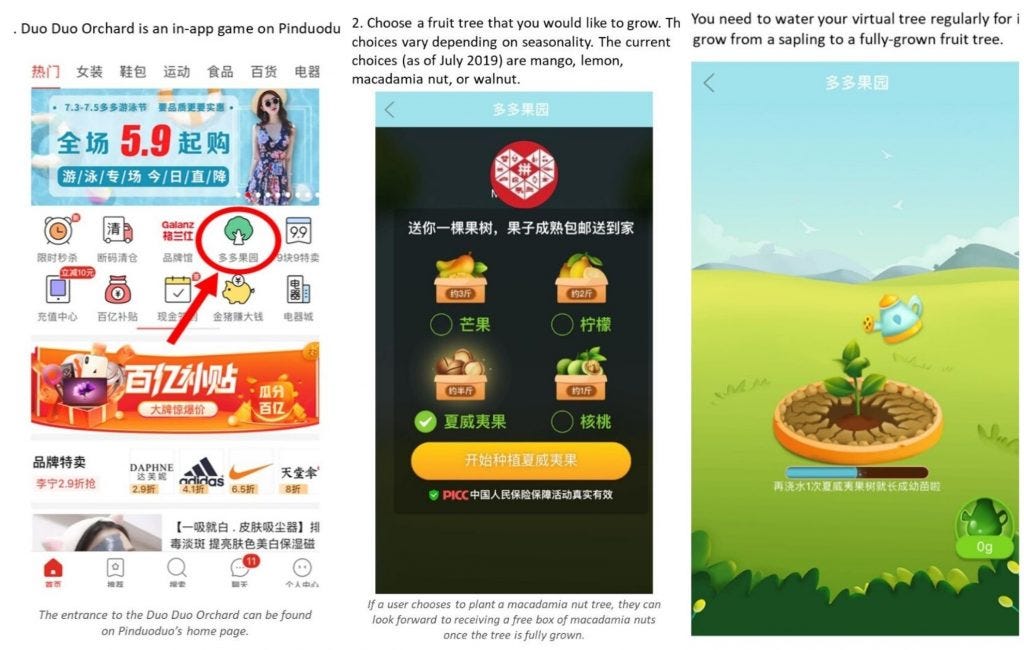 Pinduoduo is helping the agricultural industry thrive - Ecommerce China